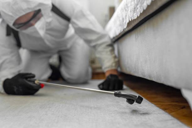 Professional Pest Control technician working in Carroll County County, AR